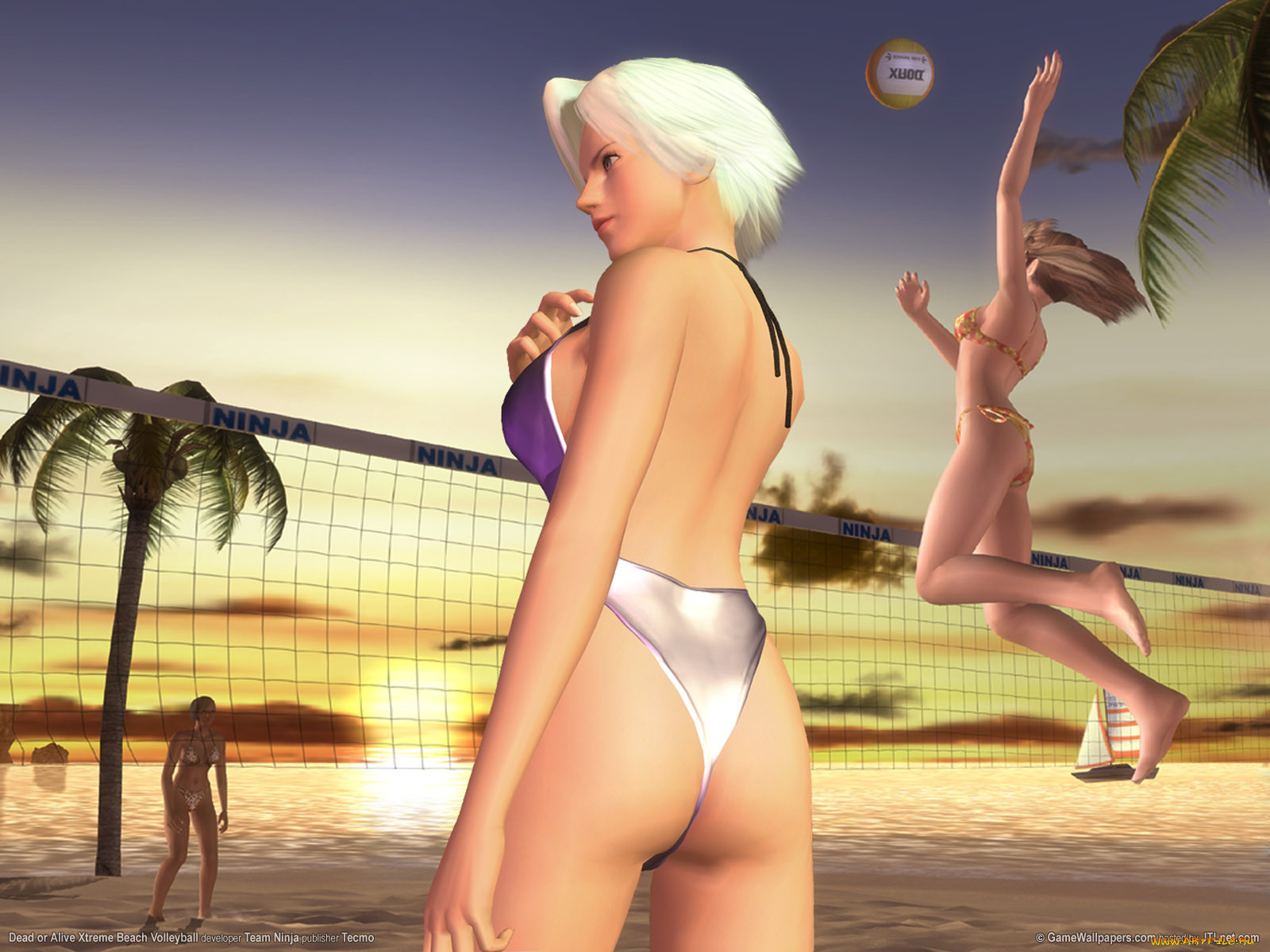 dead, or, alive, xtreme, beach, volleyball, , 